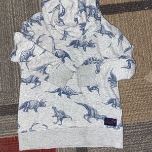 Dinosaur Print Kids Hoodie